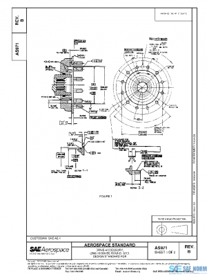 SAE AS971B PDF
