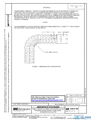 SAE AS81914/6 PDF