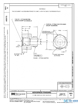 SAE AS5172A PDF