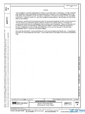 SAE AS31171A PDF