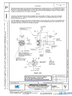 SAE AS9924B PDF