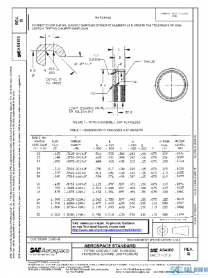 SAE AS4300B PDF