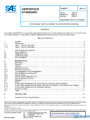 SAE AS4167D PDF