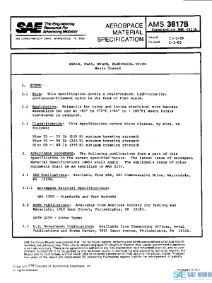 SAE AMS3817B PDF