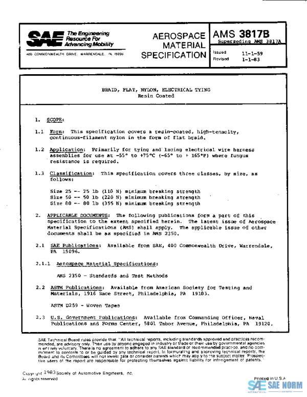 SAE AMS3817B PDF