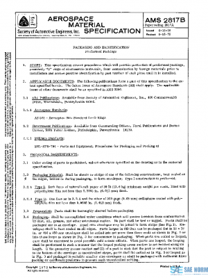SAE AMS2817B PDF
