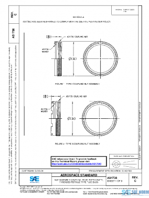 SAE AS1738C PDF