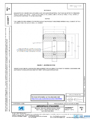 SAE AS24466B PDF