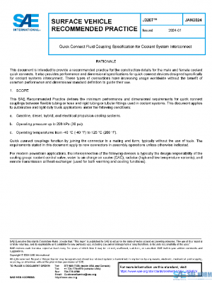 SAE J3207_202401 PDF
