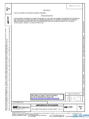 SAE AS55B PDF
