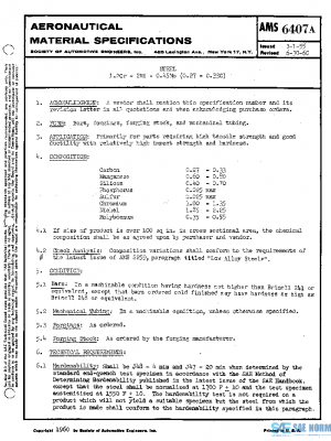 SAE AMS6407A PDF