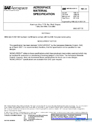 SAE AMSQQA200/13B PDF