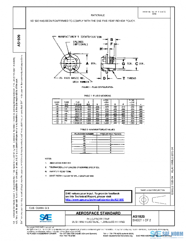 SAE AS1920 PDF