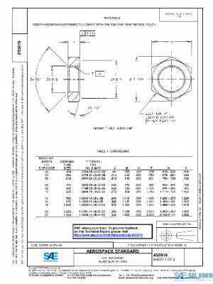 SAE AS5019 PDF