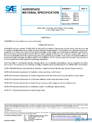 SAE AMS5022P PDF