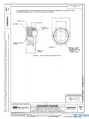 SAE AS85049/31A PDF