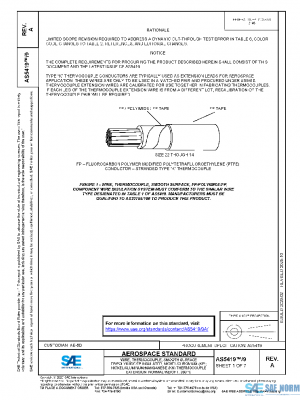 SAE AS5419/9A PDF