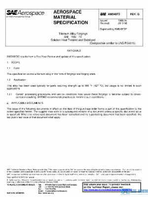 SAE AMS4973G PDF