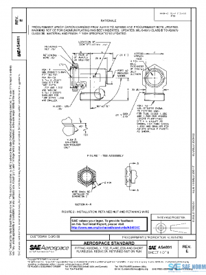 SAE AS4691E PDF