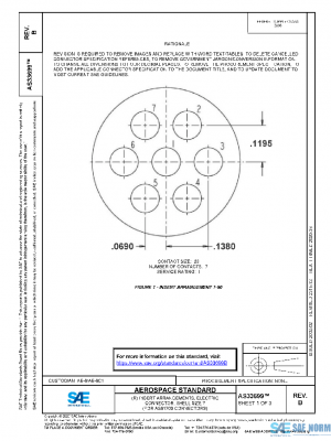 SAE AS33699B PDF