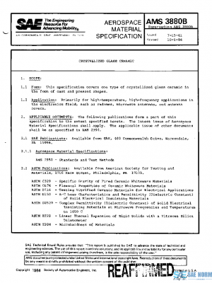 SAE AMS3880B PDF
