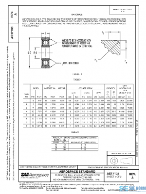 SAE AS17108A PDF