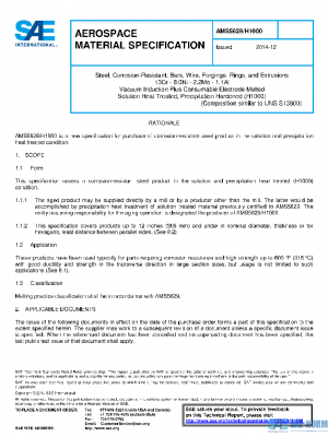 SAE AMS5629/H1000 PDF