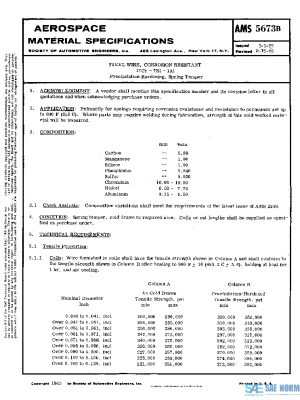 SAE AMS5673B PDF