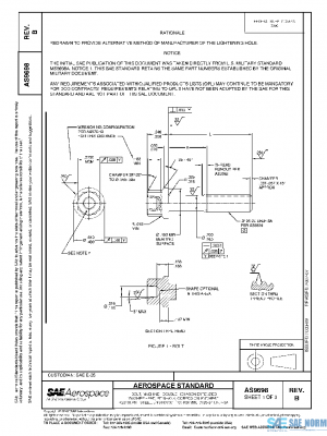SAE AS9698B PDF