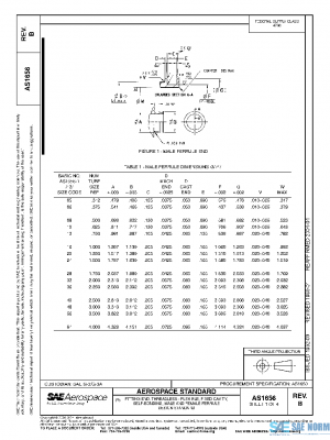 SAE AS1656B PDF