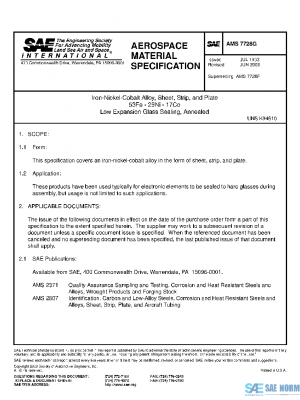 SAE AMS7728G PDF