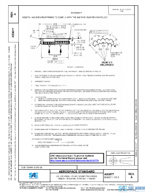 SAE AS3077A PDF