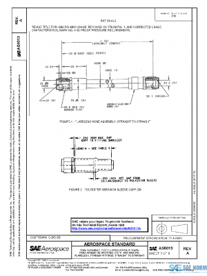 SAE AS6013A PDF