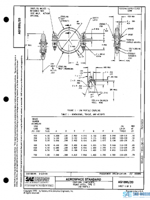 SAE AS1895/20 PDF