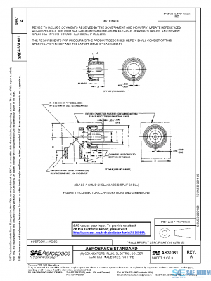 SAE AS31081A PDF