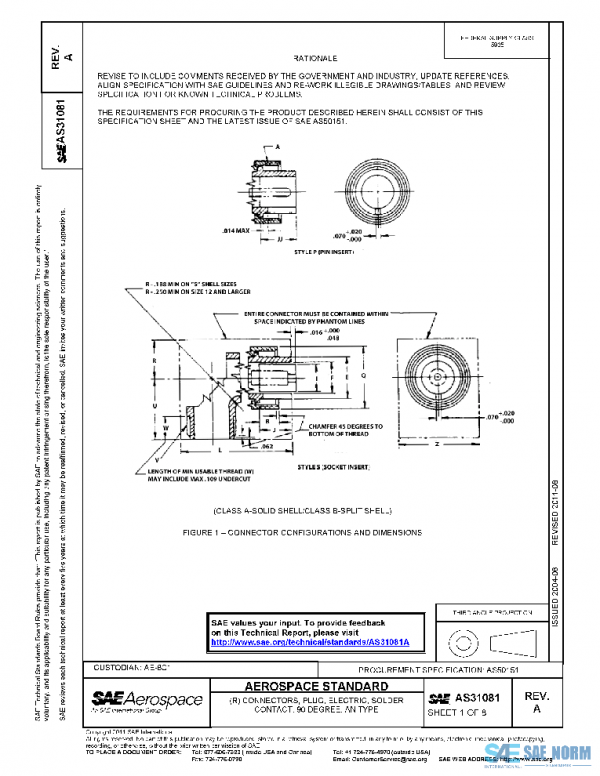 SAE AS31081A PDF