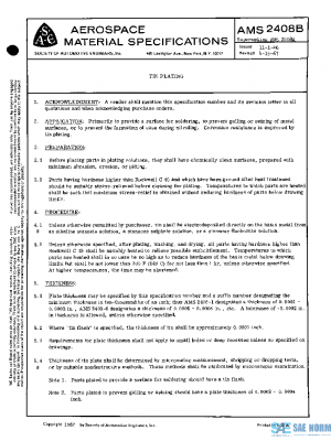 SAE AMS2408B PDF