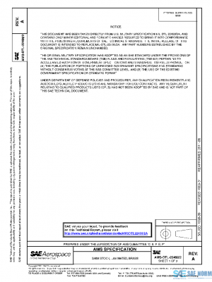 SAE AMSDTL22499/2A PDF