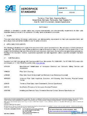 SAE AS8438/1 PDF