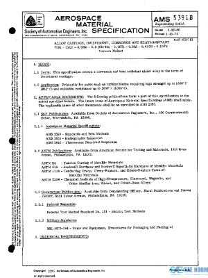 SAE AMS5391B PDF