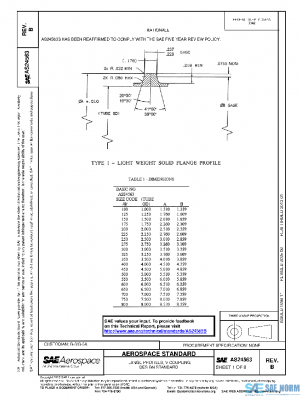 SAE AS24563B PDF
