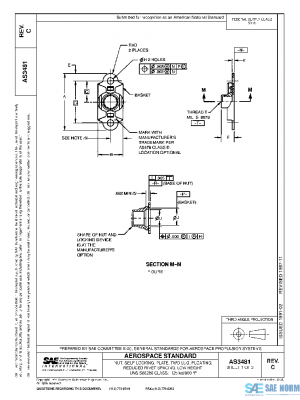 SAE AS3481C PDF