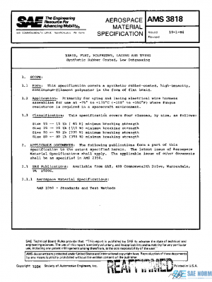 SAE AMS3818 PDF