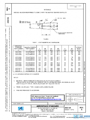 SAE AS3124A PDF
