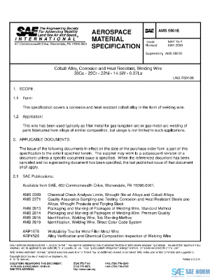 SAE AMS5801E PDF