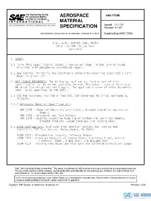 SAE AMS7733B PDF