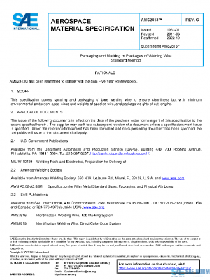 SAE AMS2813G PDF