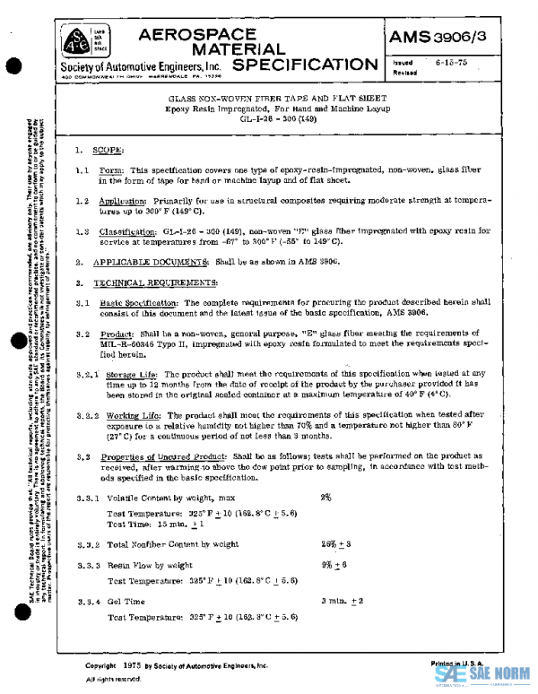 SAE AMS3906/3 PDF