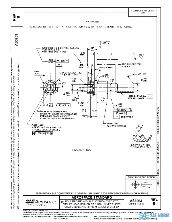 SAE AS3253B PDF