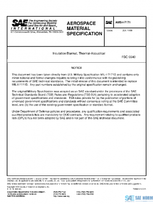 SAE AMSI7171 PDF